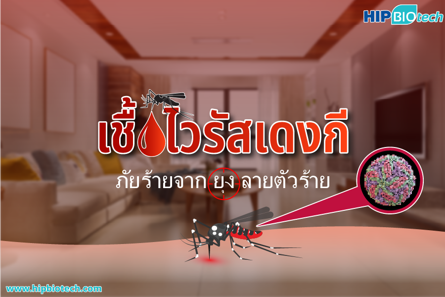 ไวรัสเดงกี ภัยร้ายจากยุงลายตัวร้าย