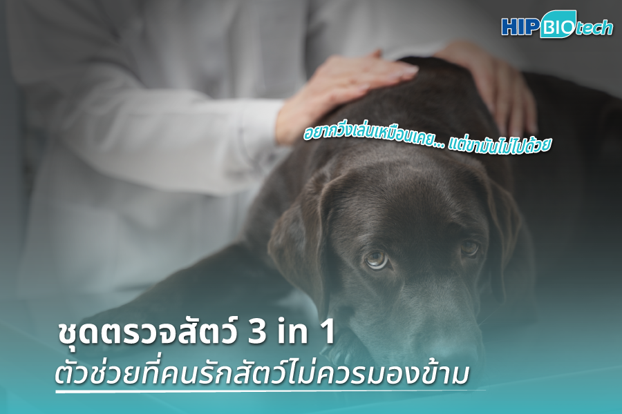 ชุดตรวจสัตว์ 3 in 1 ตัวช่วยที่คนรักสัตว์ไม่ควรมองข้าม