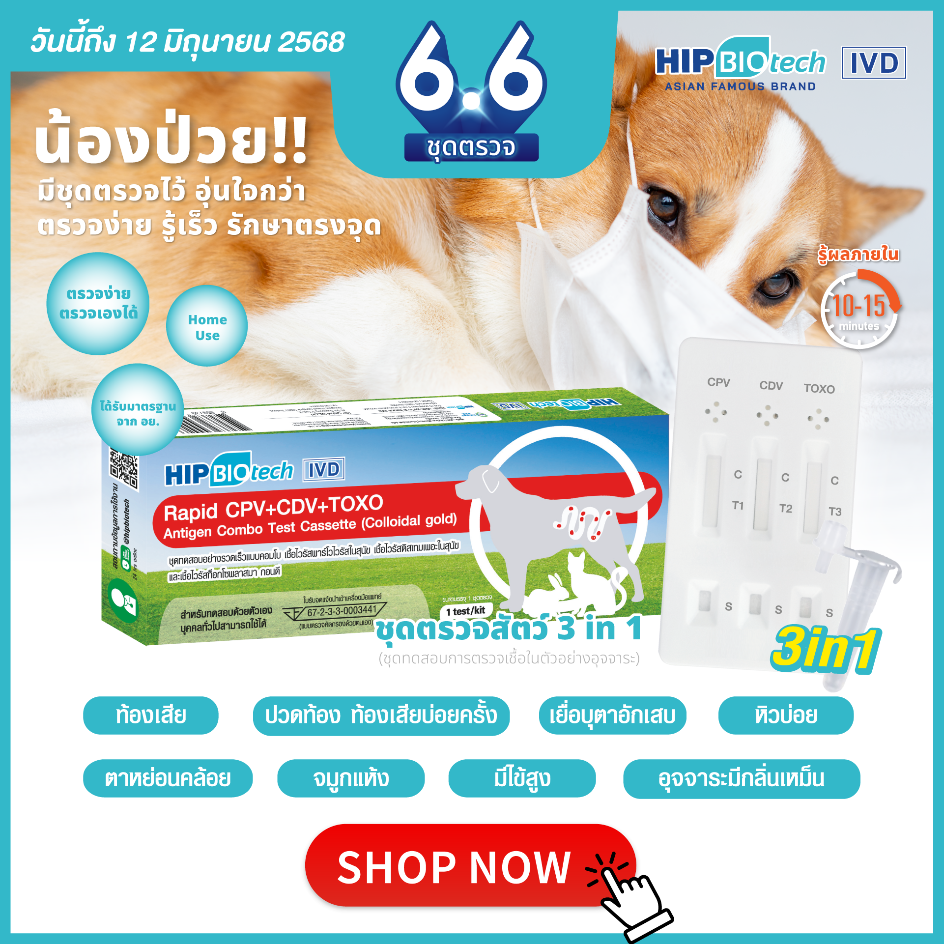 6.6 ดีลสุดคุ้ม ตรวจเช็คสุขภาพคนและสัตว์ในราคาพิเศษ